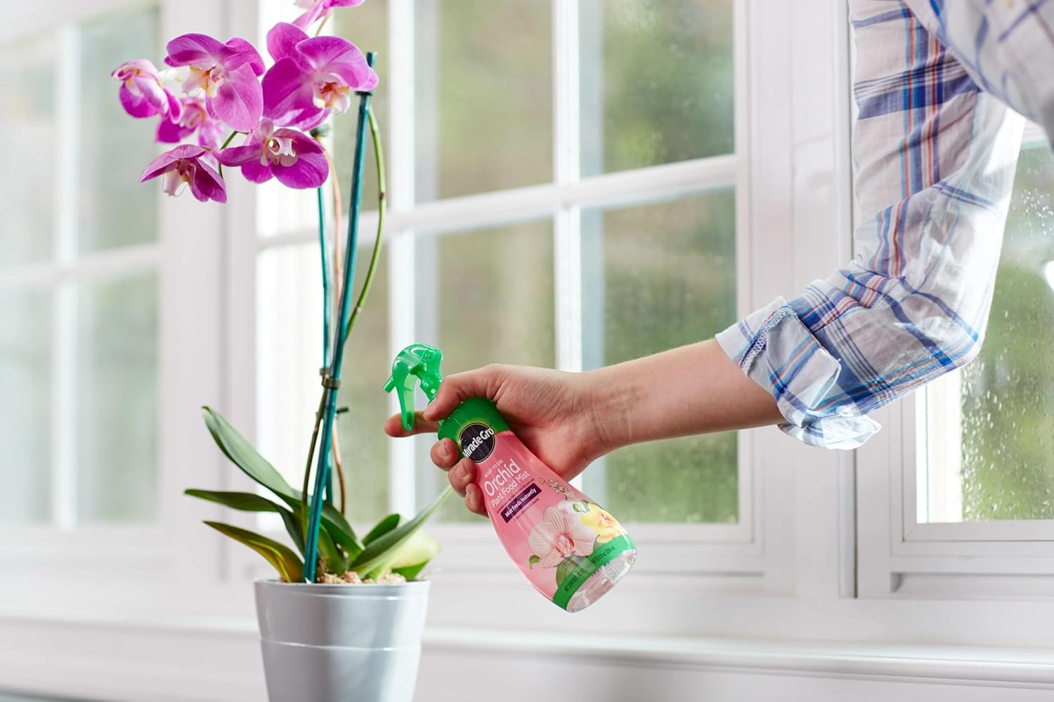 Miracle-Gro Ready-To-Use Orchid Plant Food Mist – Fertilizer Mist for Indoor Blo
