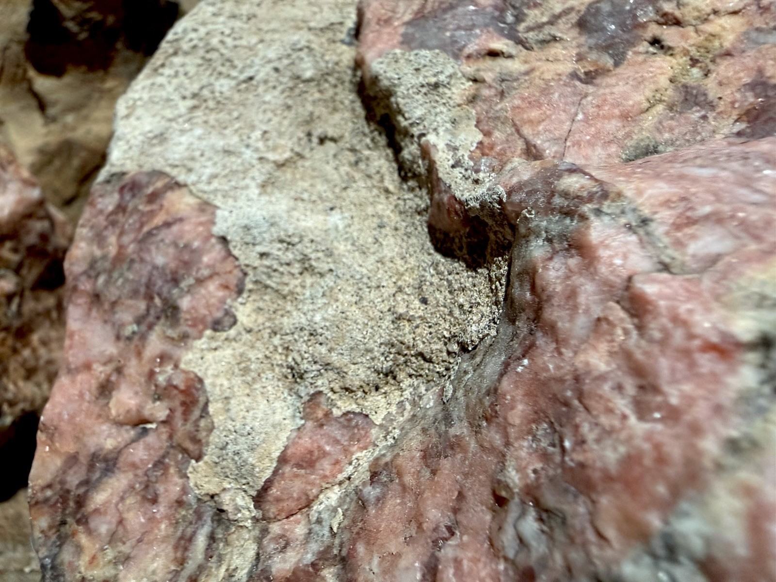 Crushed Rock For Cacti Mountain Cactus Raw Host Rock For Native Spps Blend 3LB