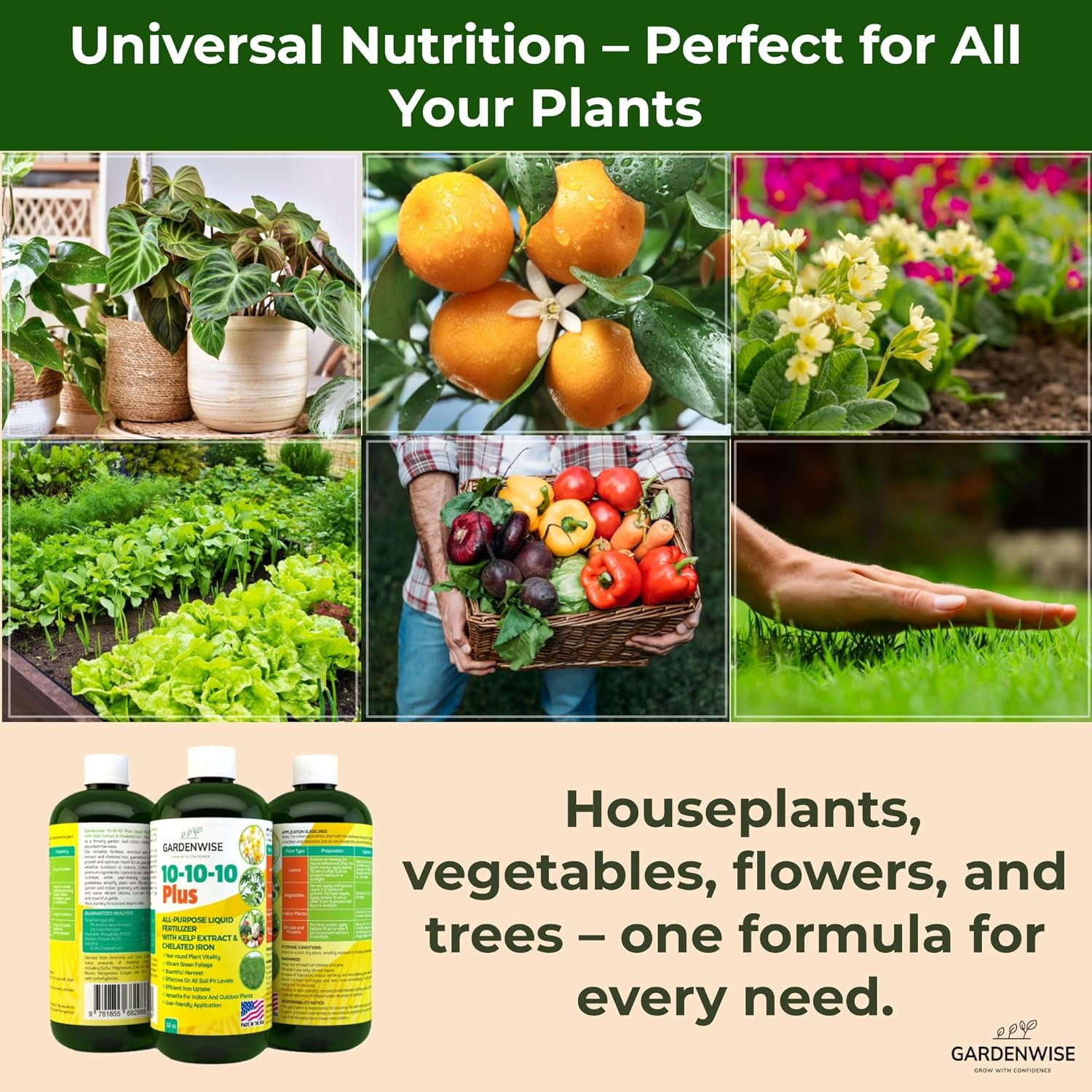 10-10-10 All Purpose Plant Food – Liquid Fertilizer with Seaweed Kelp & Iron – I