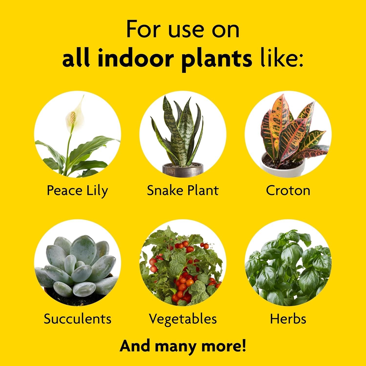 8 oz Bottles of Liquid Plant Food – Nourishes Indoor Plants Including Vegetables