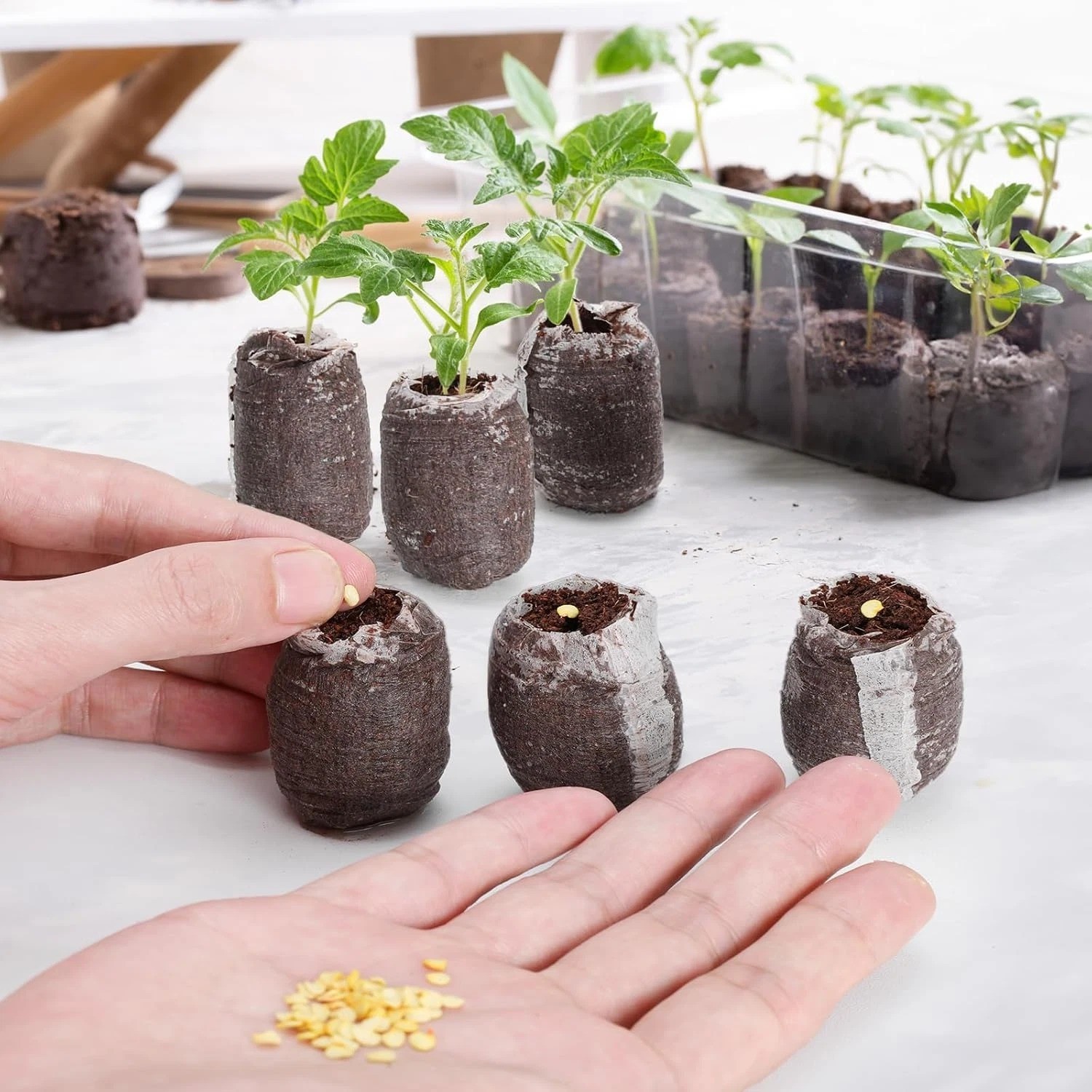 100pcs Seed Starter Pod Peat Pellets for Seedlings, Garden Plant Seed Starter Ki