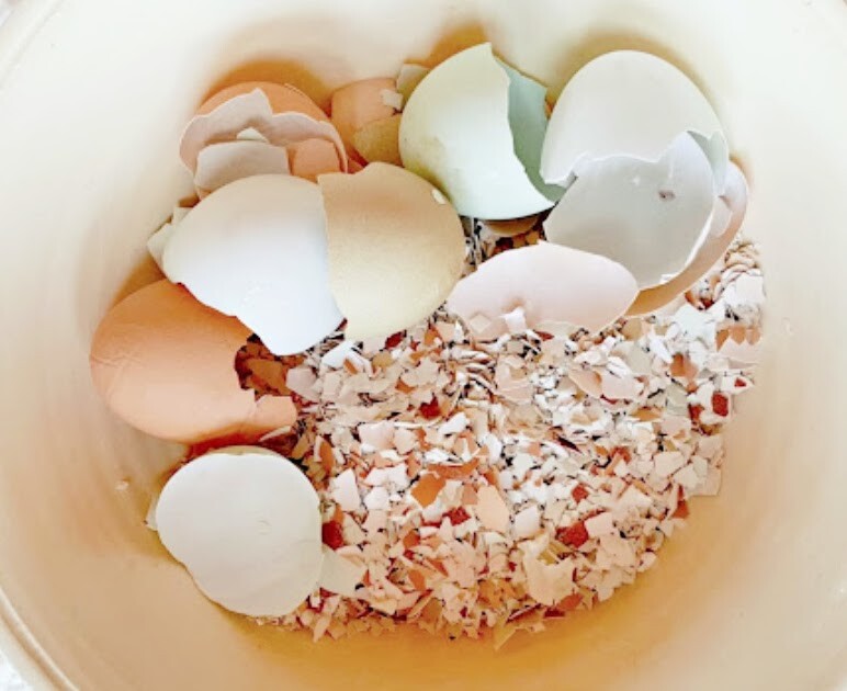 Crushed Eggshells Ceylon Organic Calcium Fertilizer Egg Shells Garden Slugs 200G