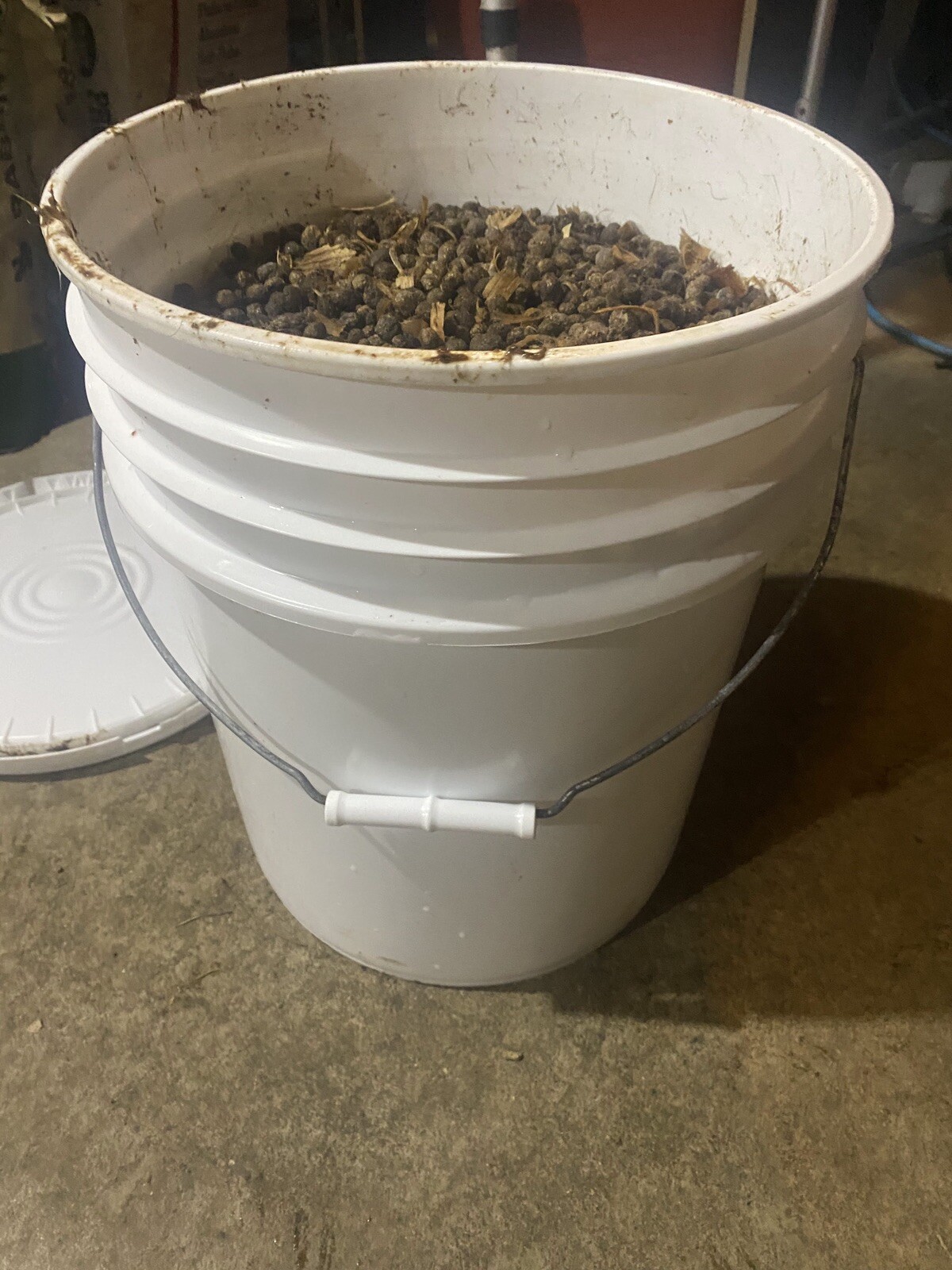 30lbs Of Rabbit Manure $3 Per Pound
