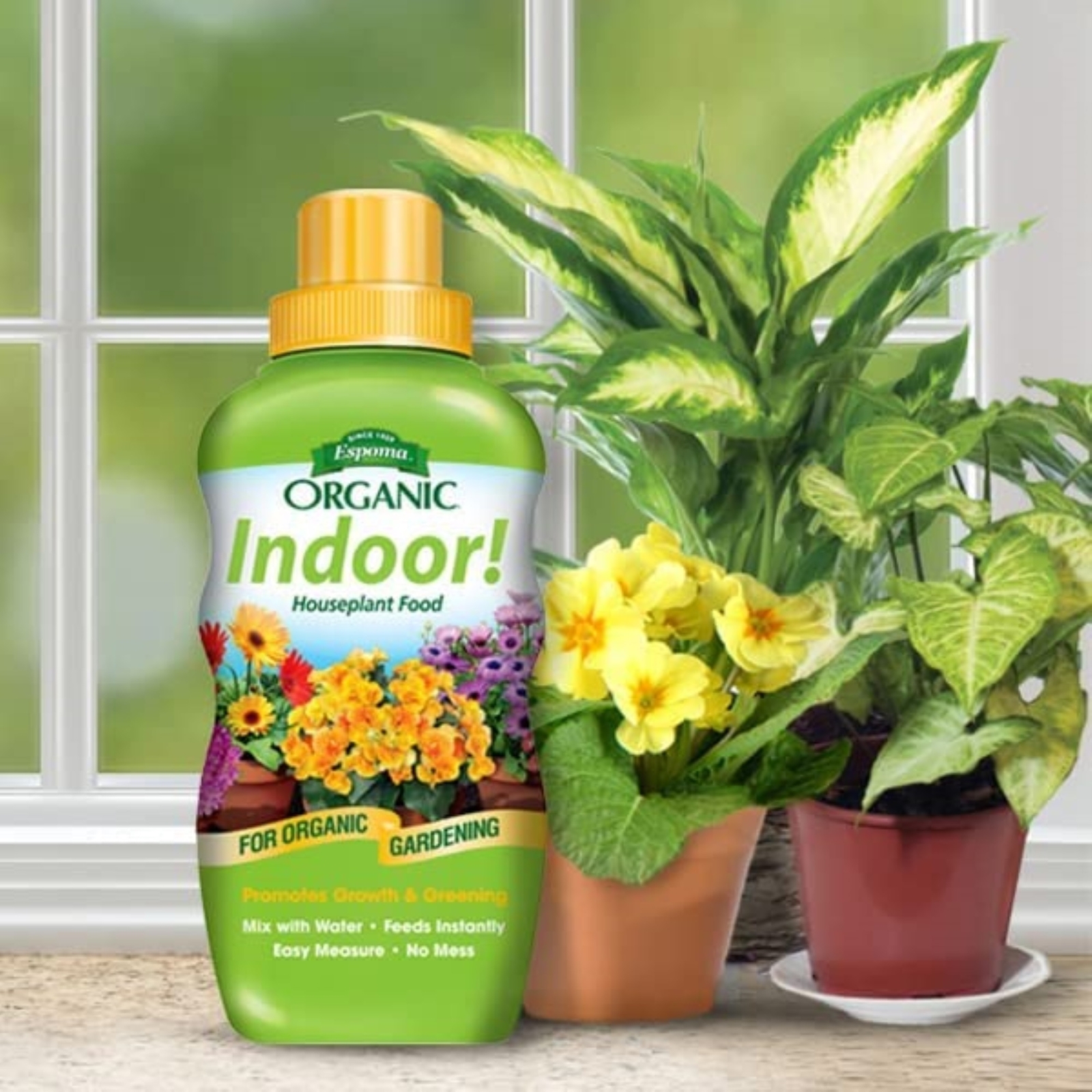 Espoma Organic Concentrated Indoor! Plant Food, Indoor Plant Fertilizer, 8 fl oz