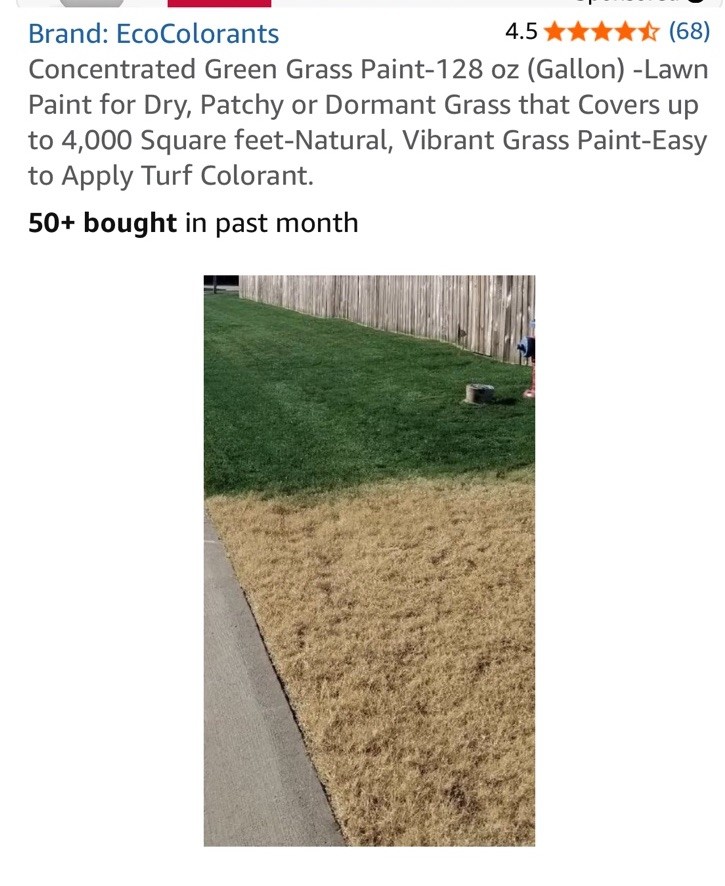 GREEN GRASS DYE LAWN PAINT. ONE GALLON FREE SHIPPING-GREAT PRODUCT!