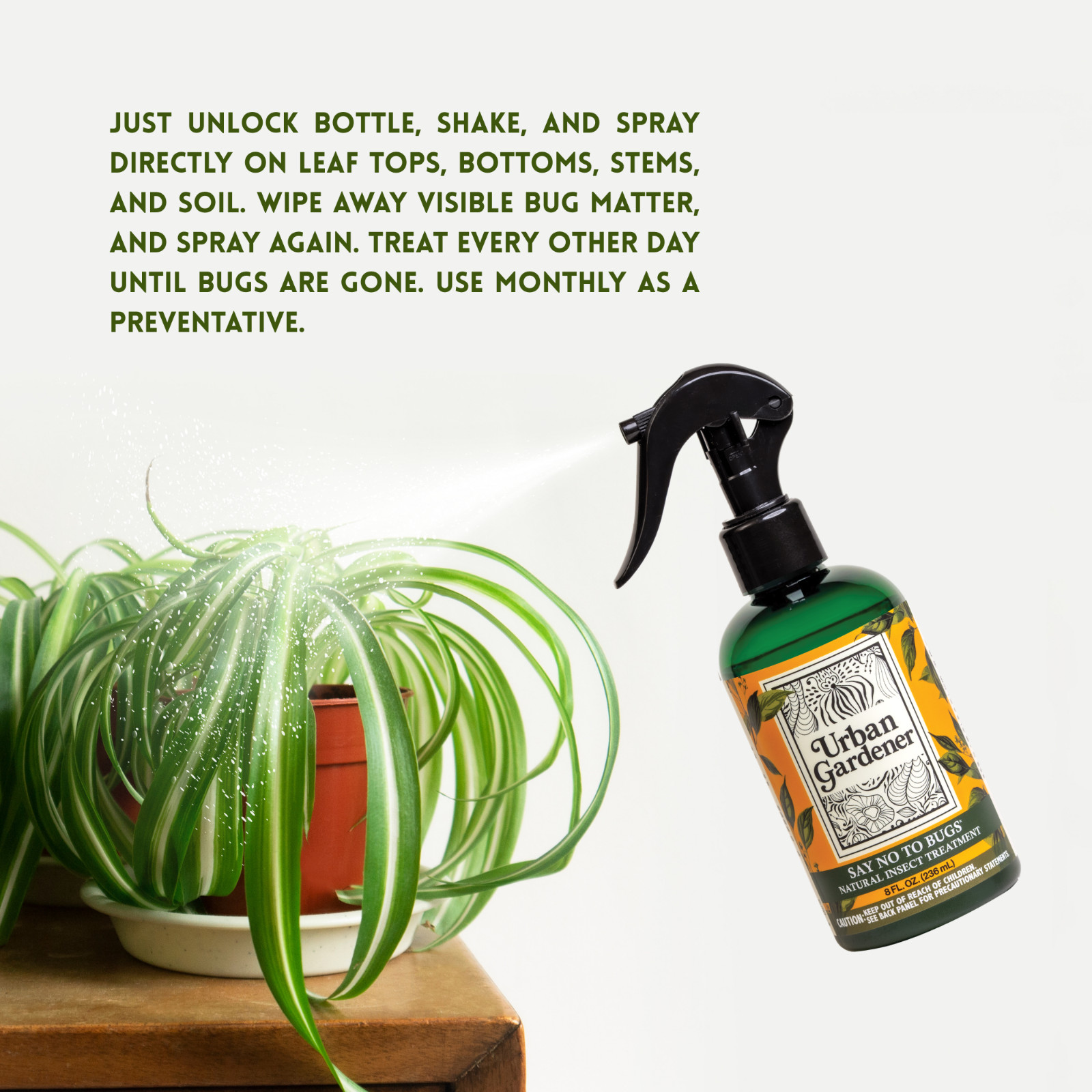 Say No To Bugs for Houseplants by Urban Gardener