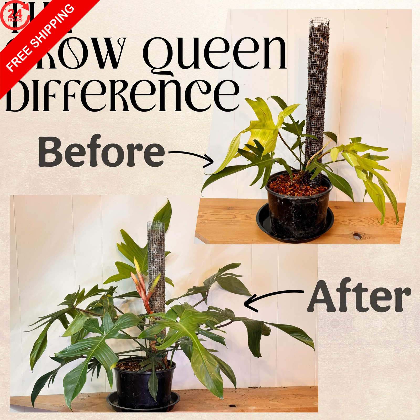 Grow Queen All-in-One Complete Organic Plant 7 Pack Single Servings (0.28 lb)