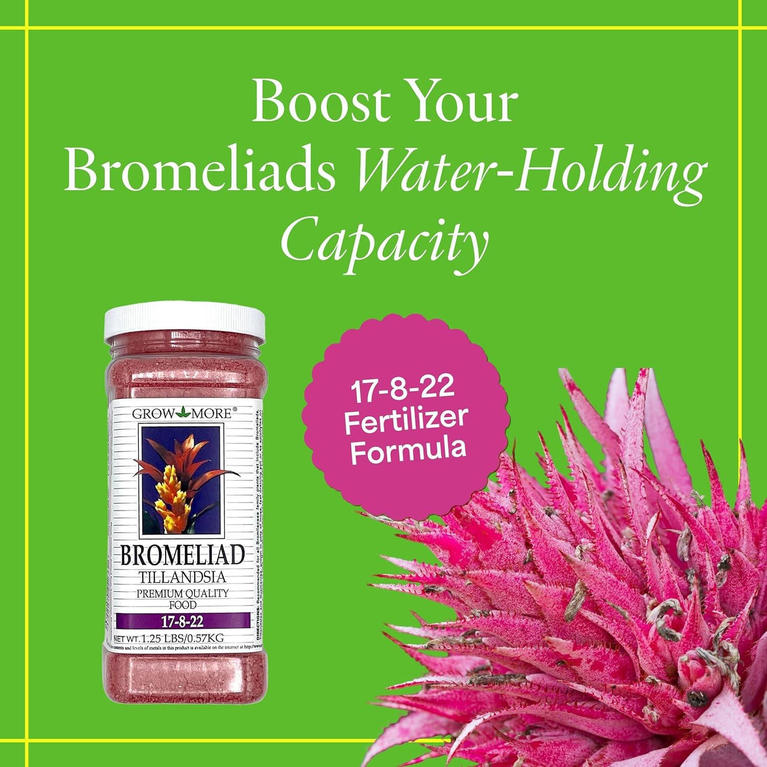 Bromeliad Tillandsia Food 17-8-22 1.25lbs of Water Soluble Air Plant Fertilizer