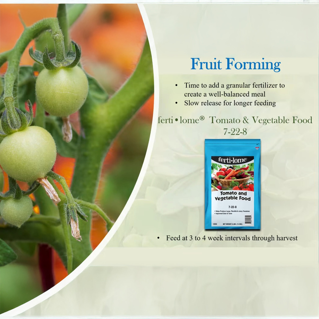 Ferti-lome Tomato and Vegetable Food 7-22-8 3.25 lbs by VPG
