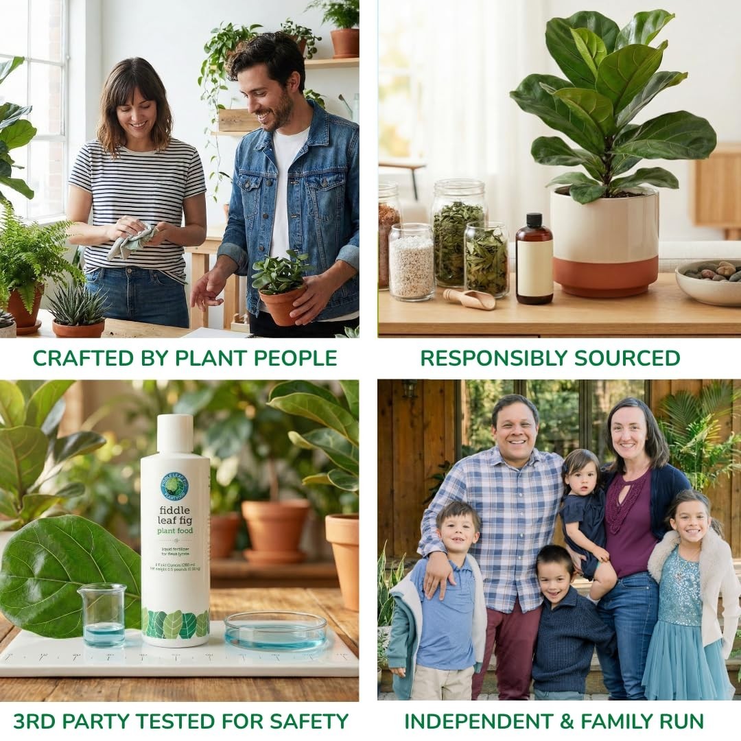 Balanced NPK Liquid Fertilizer for Fiddle Leaf Fig & Ficus – 8 oz, Stronger Root