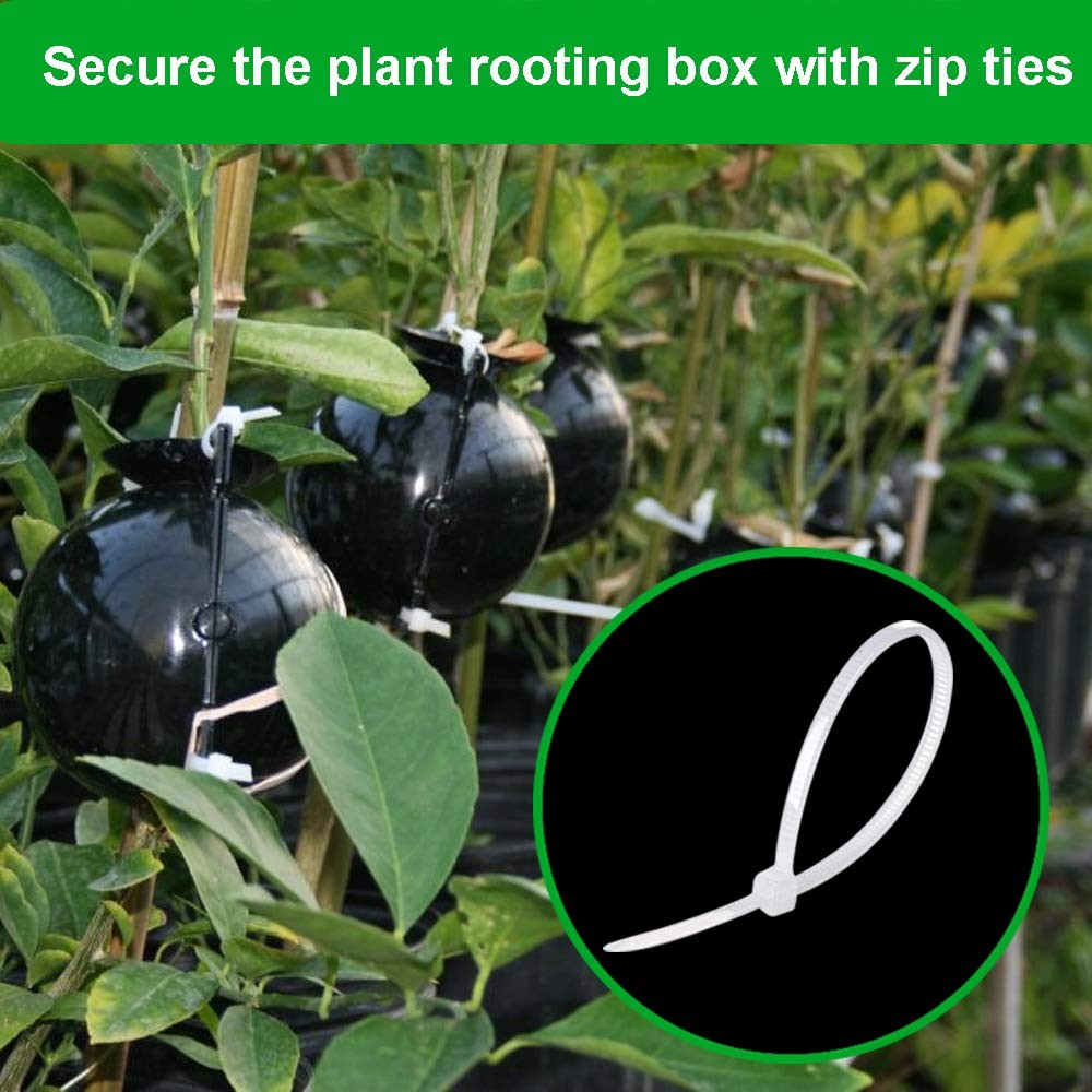 nutroeno 15 pcs Plant Root Growing Cloning – Layering Reusable Plant Rooting …