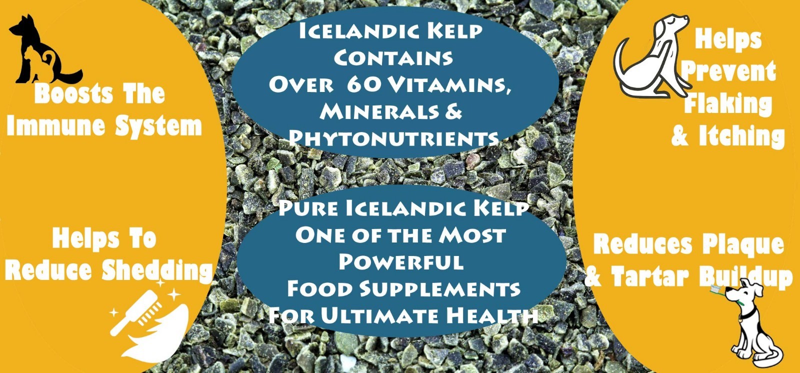 Icelandic Kelp Meal 5lbs – Nutrient-Rich Seaweed for Livestock, Pets & Plants