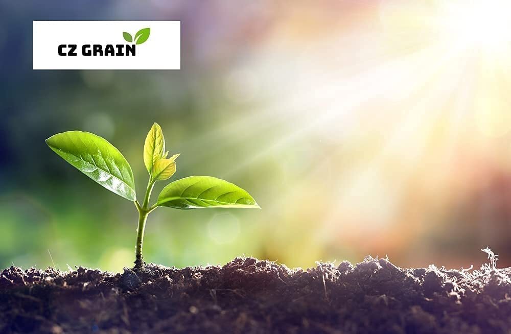 Gypsum-Solution Grade Calcium Sulfate Dihydrate Organic Garden Gypsum, Purest, M