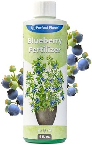 Liquid Blueberry Fertilizer by Perfect Plants | Berry Booster | Premium Ferti…