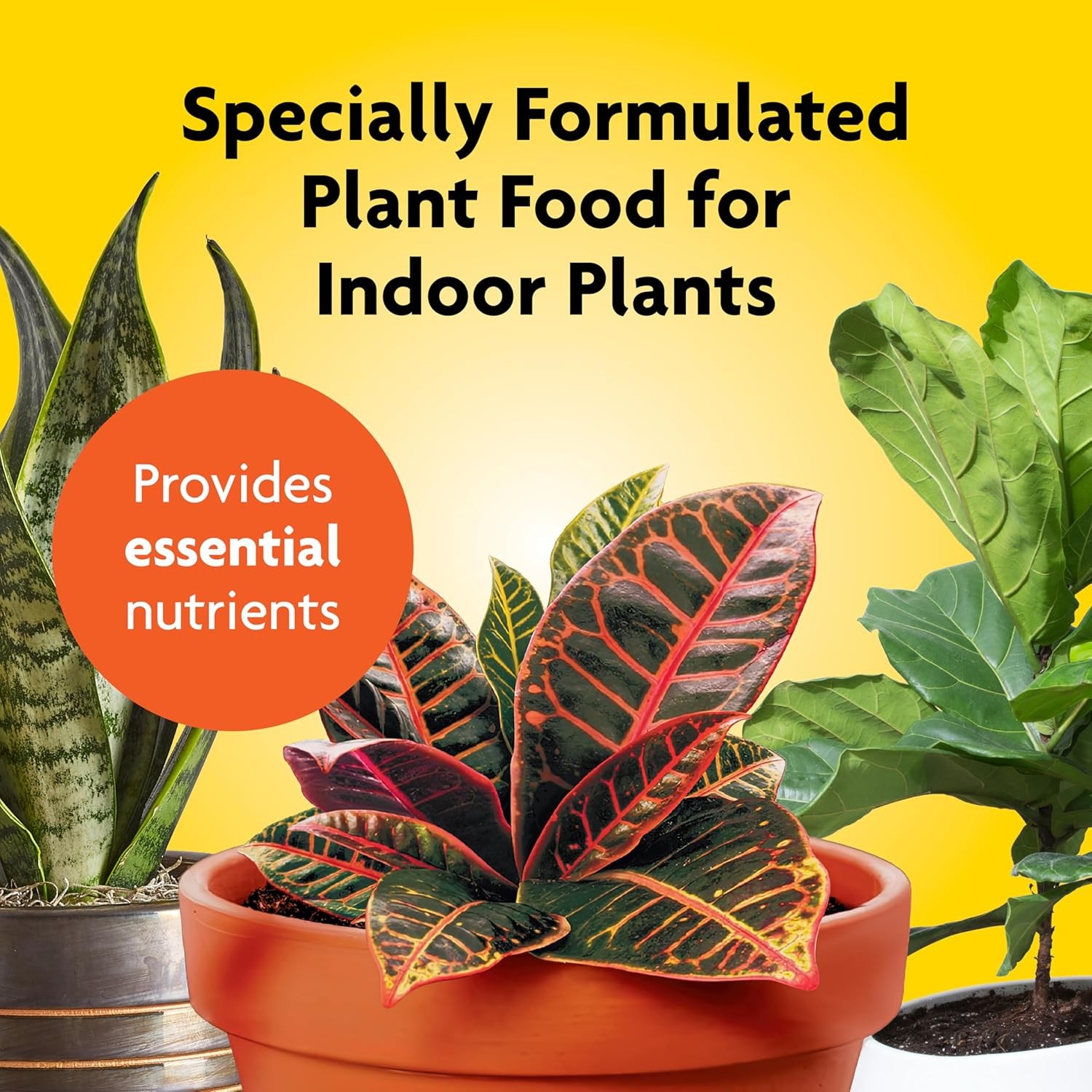 Indoor Plant Food Liquid Plant Food Houseplants Snake Plants Peace Lilies