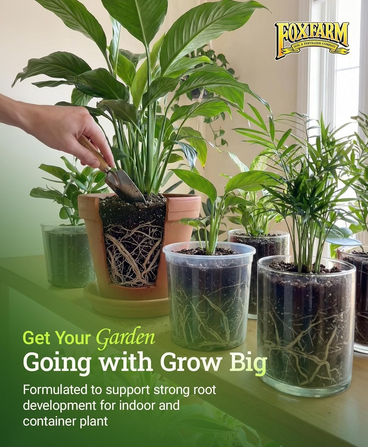 16 oz Grow Big Fertilizer for Roses & Veggies – Fast Nutrient Uptake Formula
