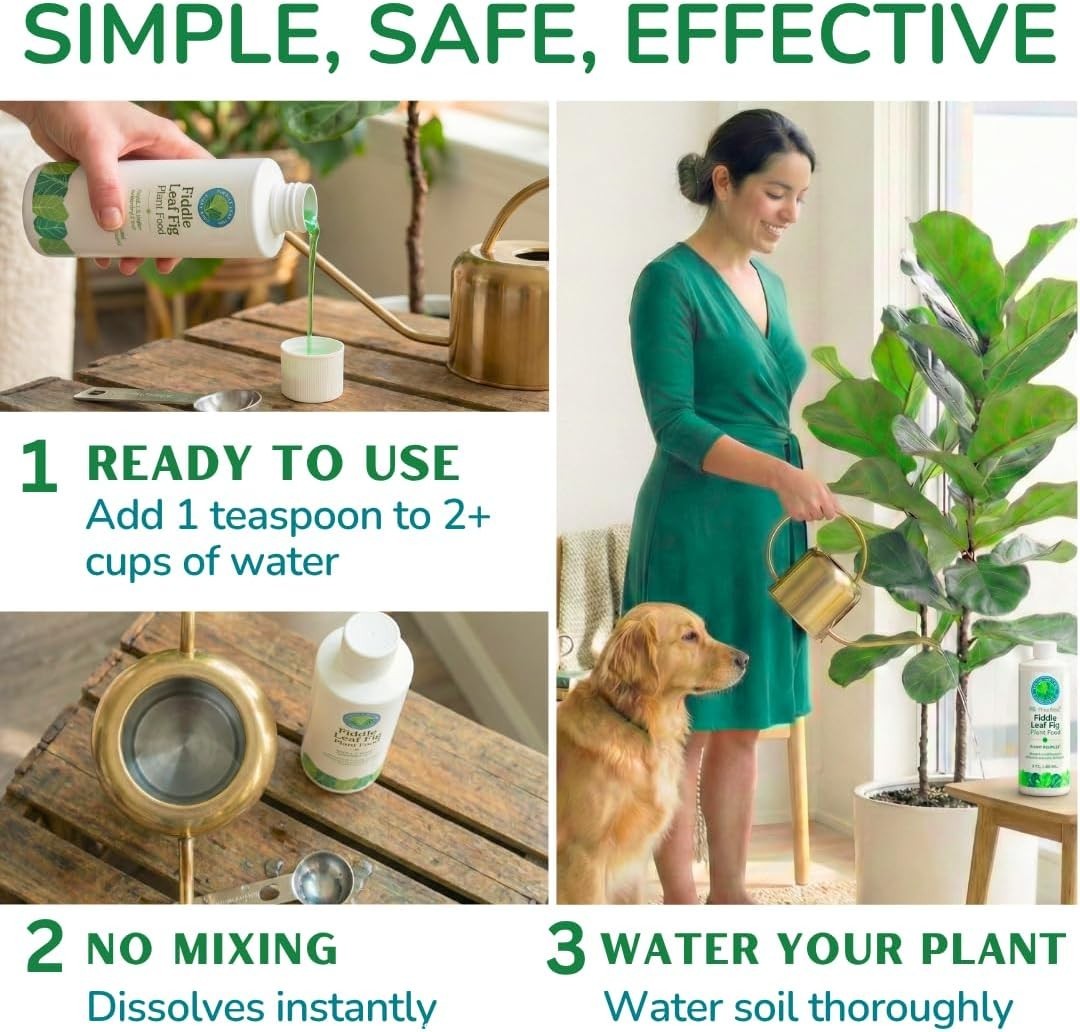 3-1-2 NPK Liquid Fertilizer for Ficus, 8 oz