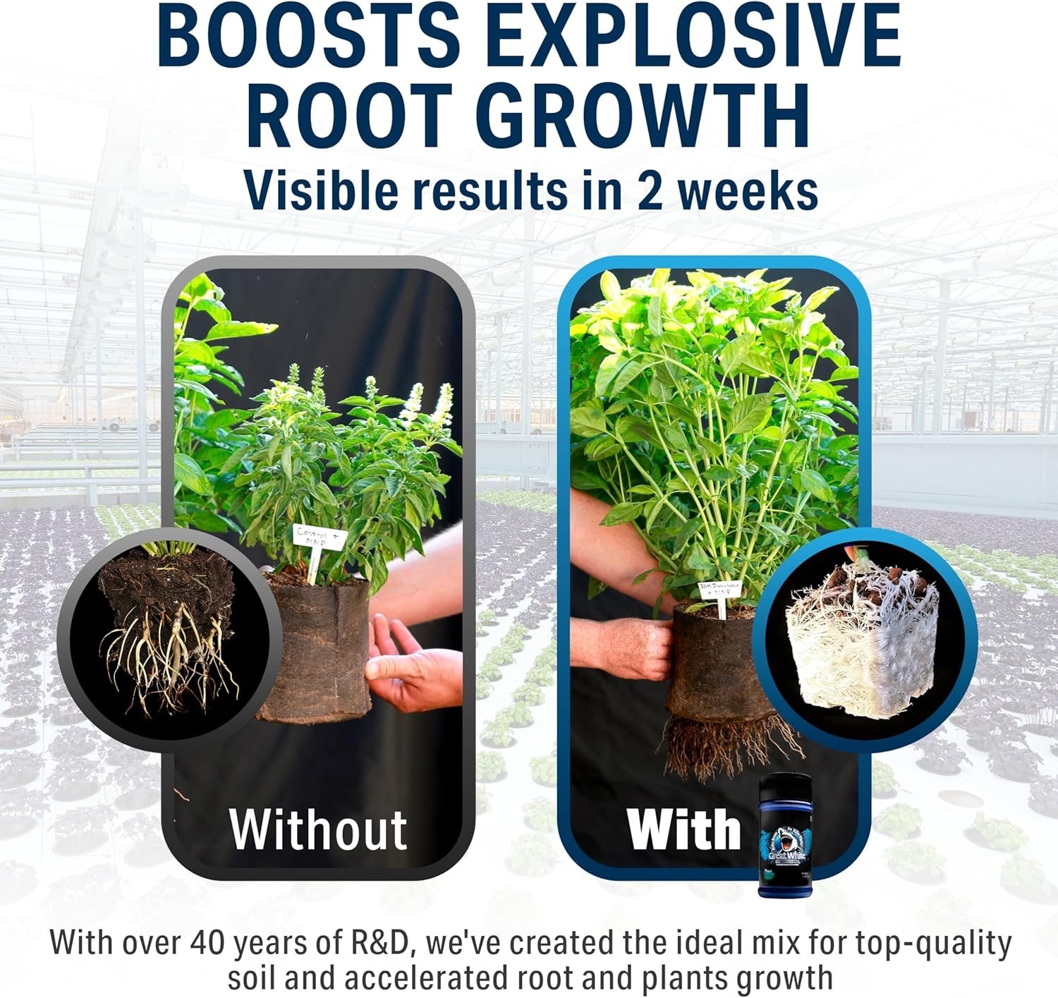 Mycorrhizal Fungi Beneficial Bacteria Plant Growth Root Stimulator 4 oz
